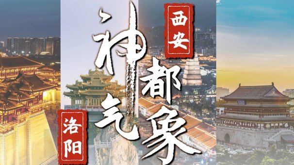 浙江队门将赵博：职业精神的震撼表现