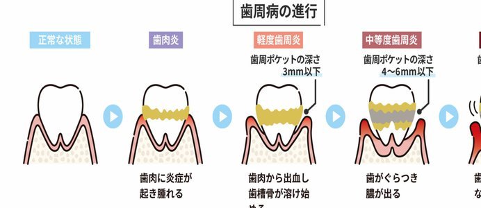 董路两日流量爆涨：草根反哺引热潮