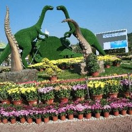 西班牙小鱼儿恭喜张林峒跨级入选U17国少，同时认为09流浪小将已经全面落后