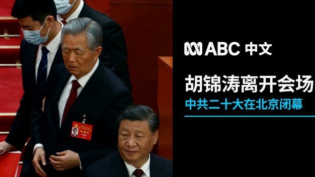 韩乔生：向遭误伤申花球迷致歉，但任何宣泄戾气行为都不对